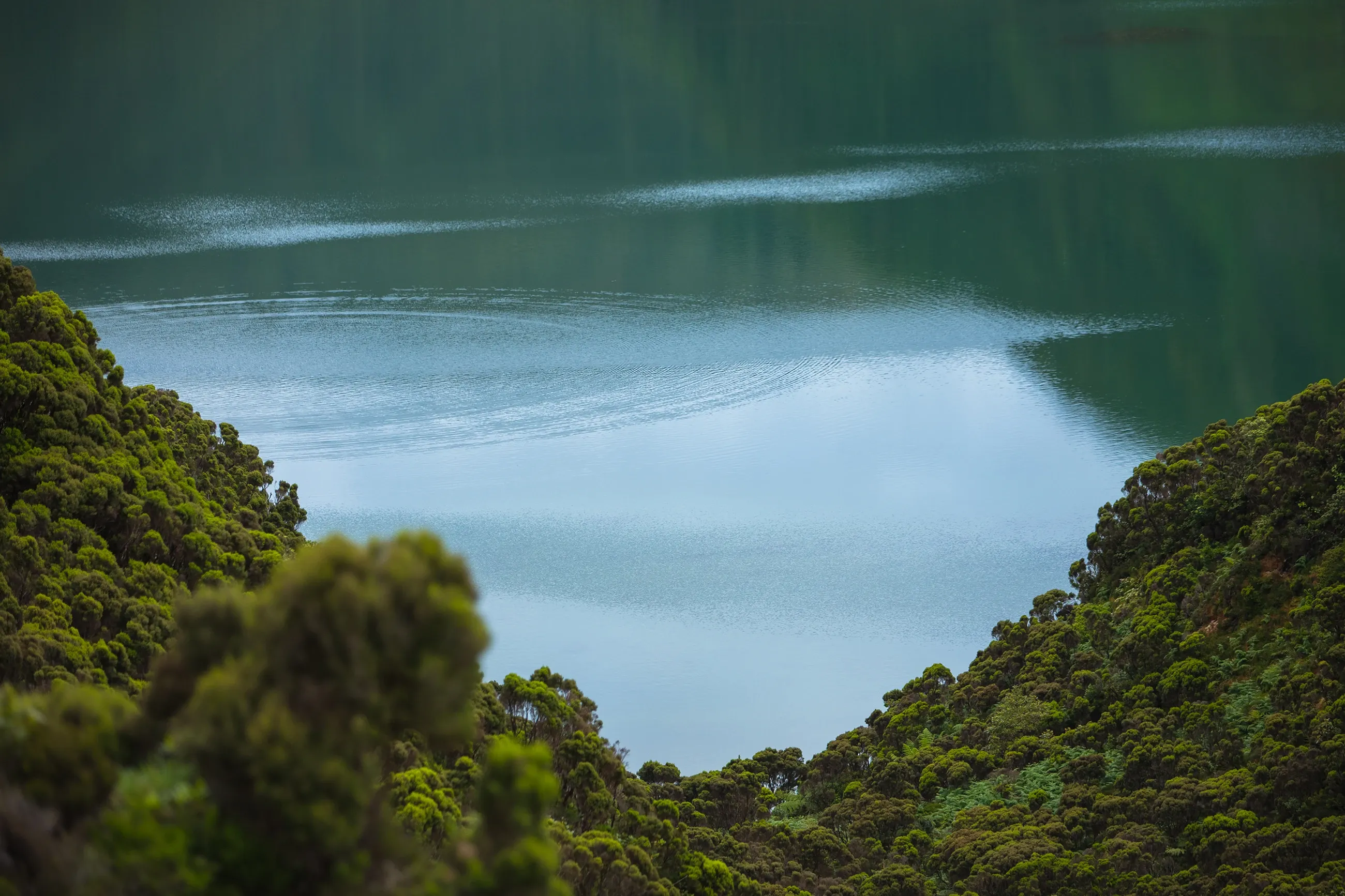 Details from Lagoa do Fogo