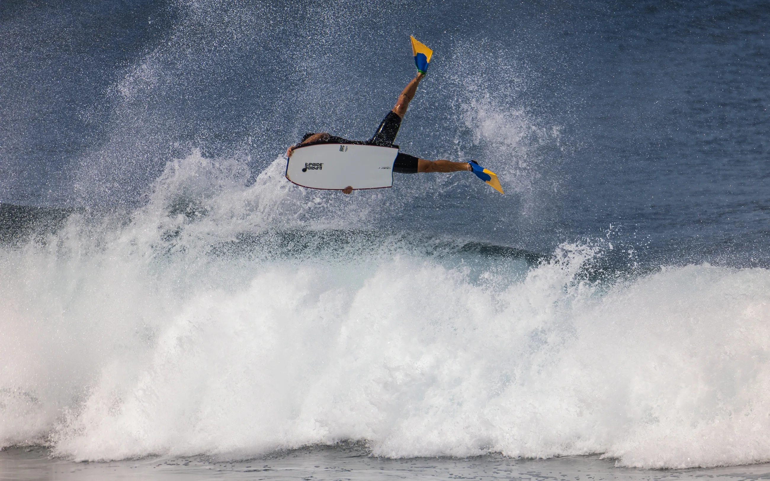 Surf's Up