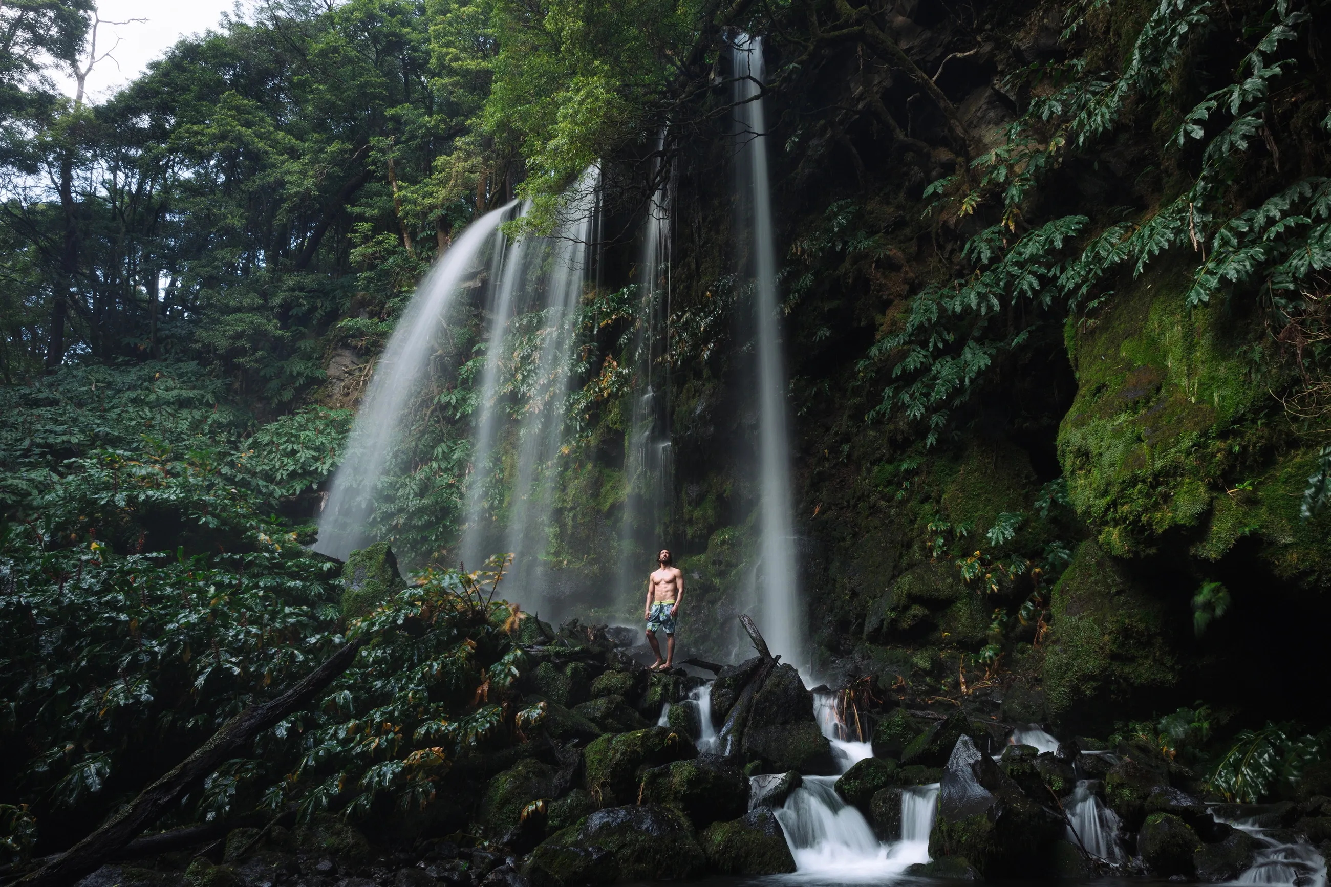 Waterfall Season