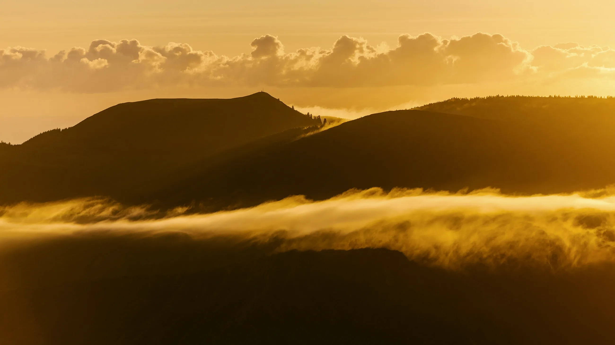 Sunrise Light Leaks