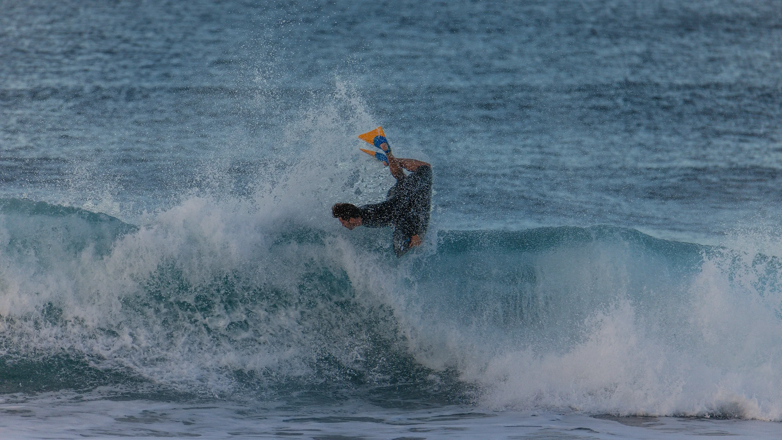 Surf's Up