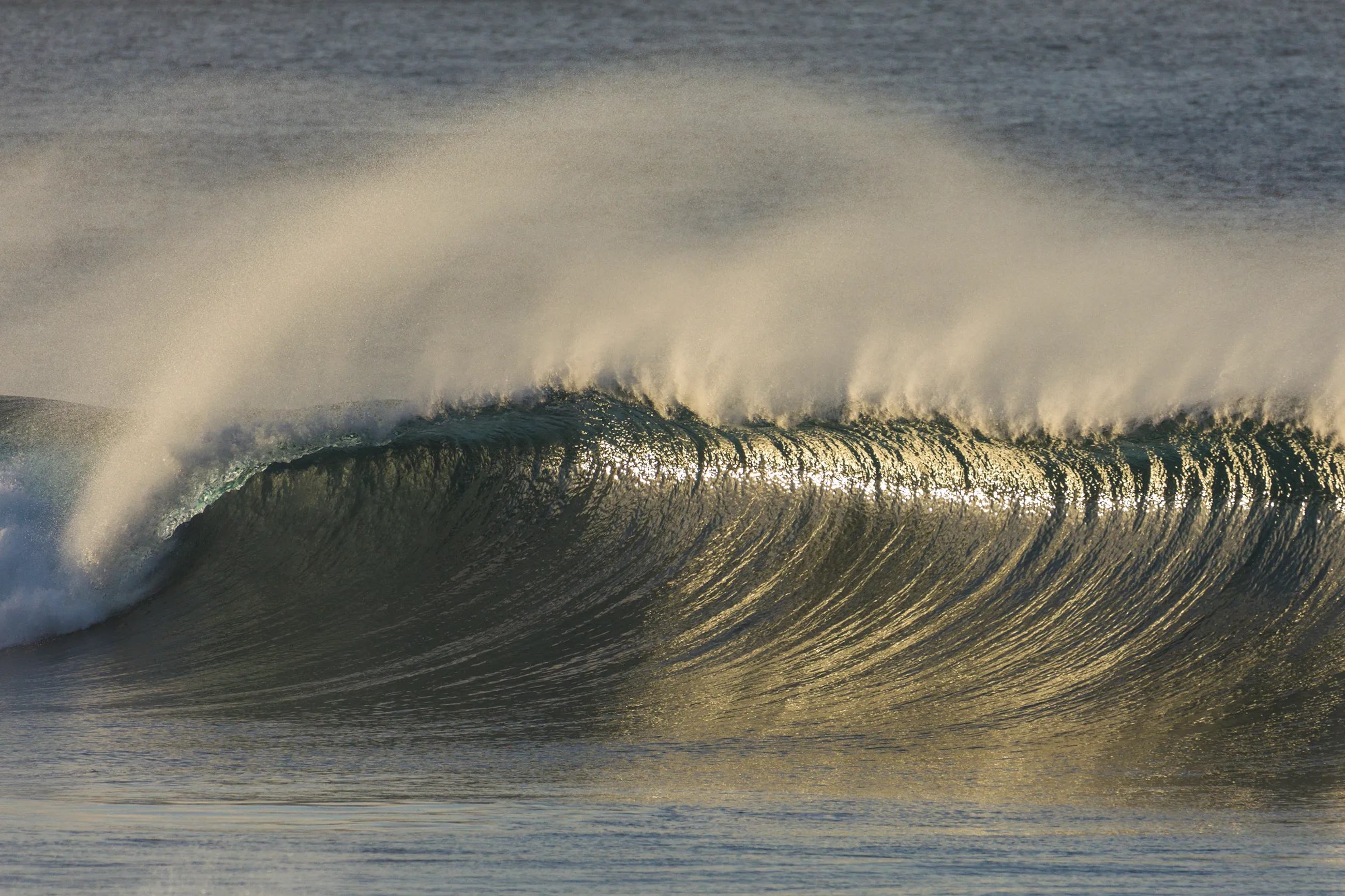 Surf Photo Dump