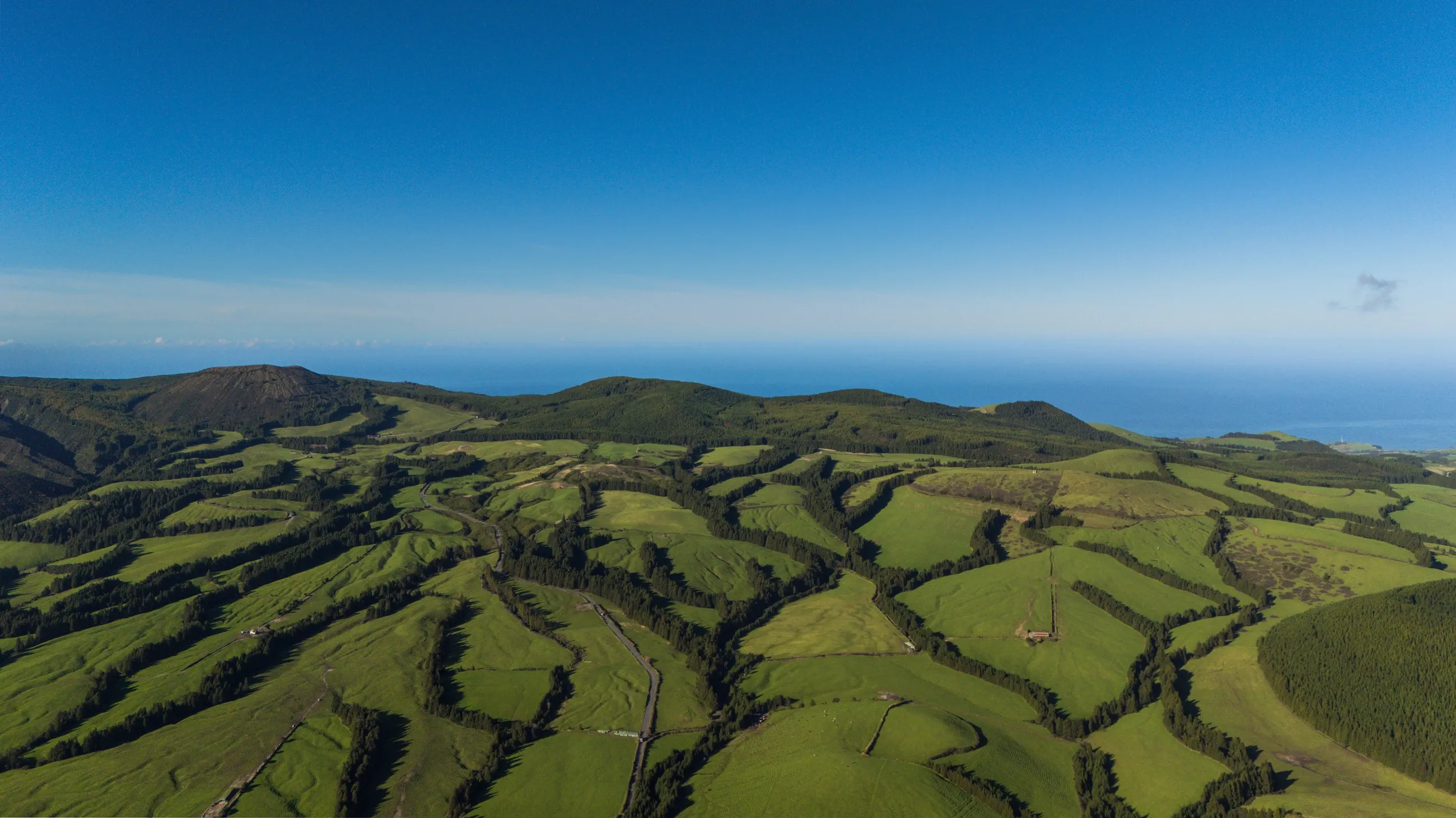 The Green Island
