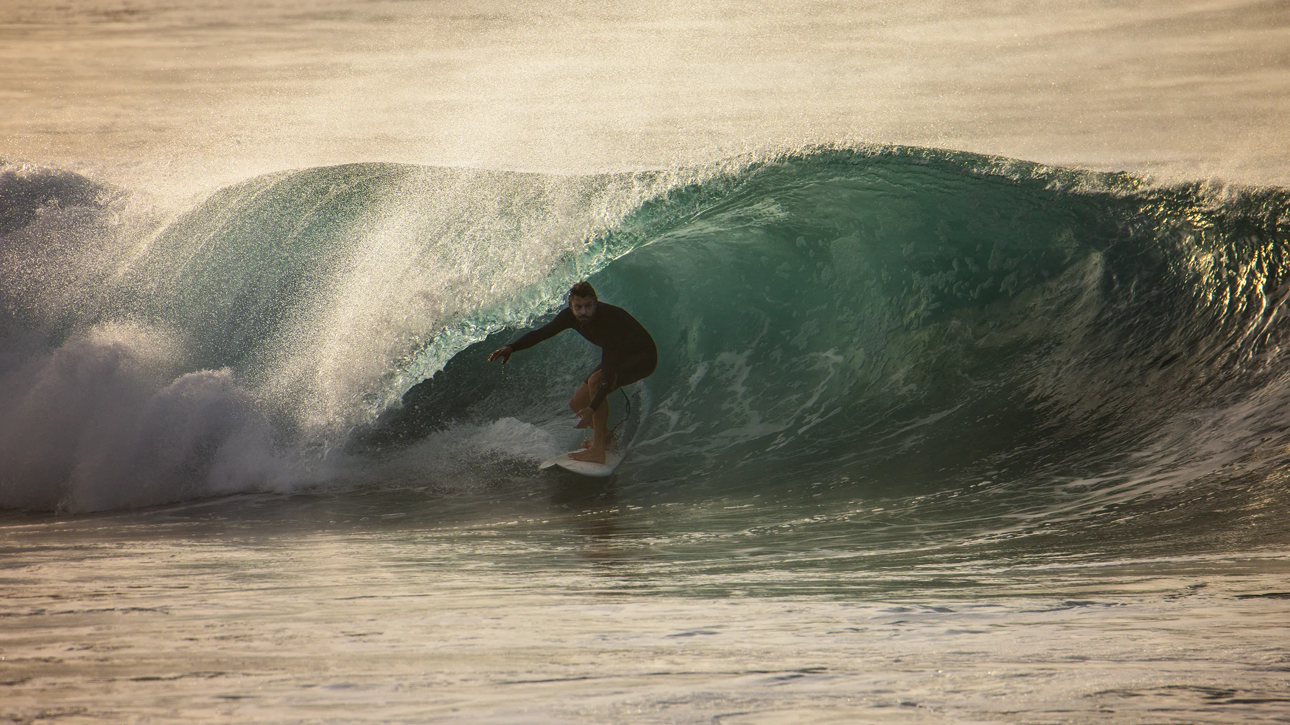 Surf's Up