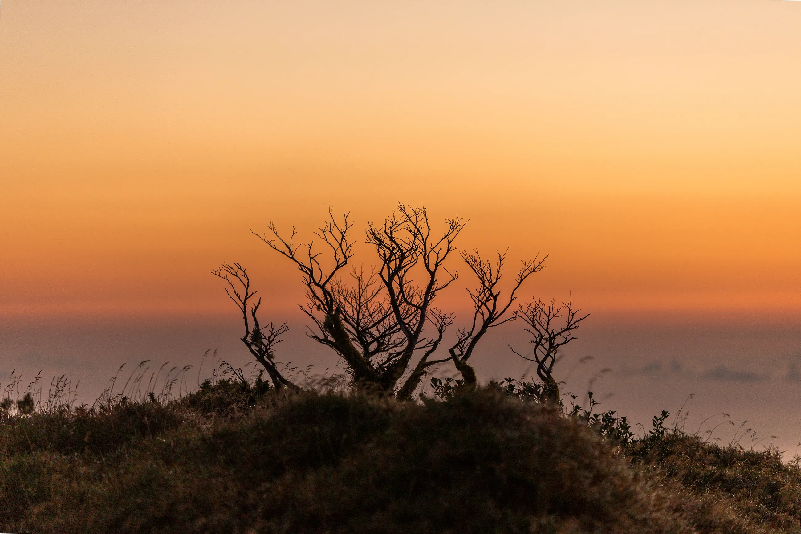 Pico da Vara Sunrise Hike