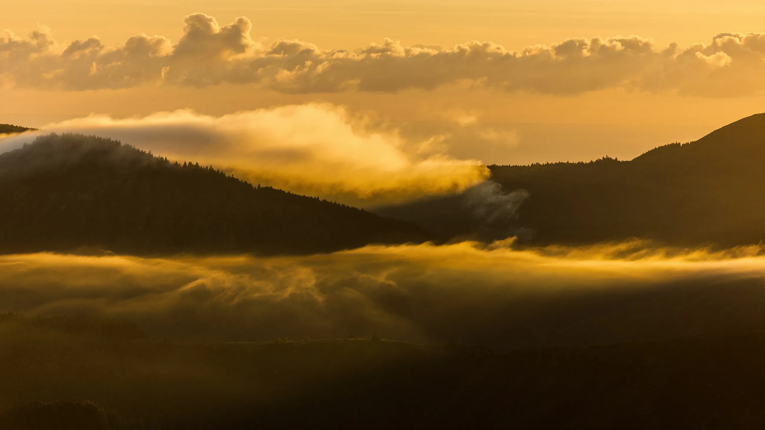 Sunrise Light Leaks