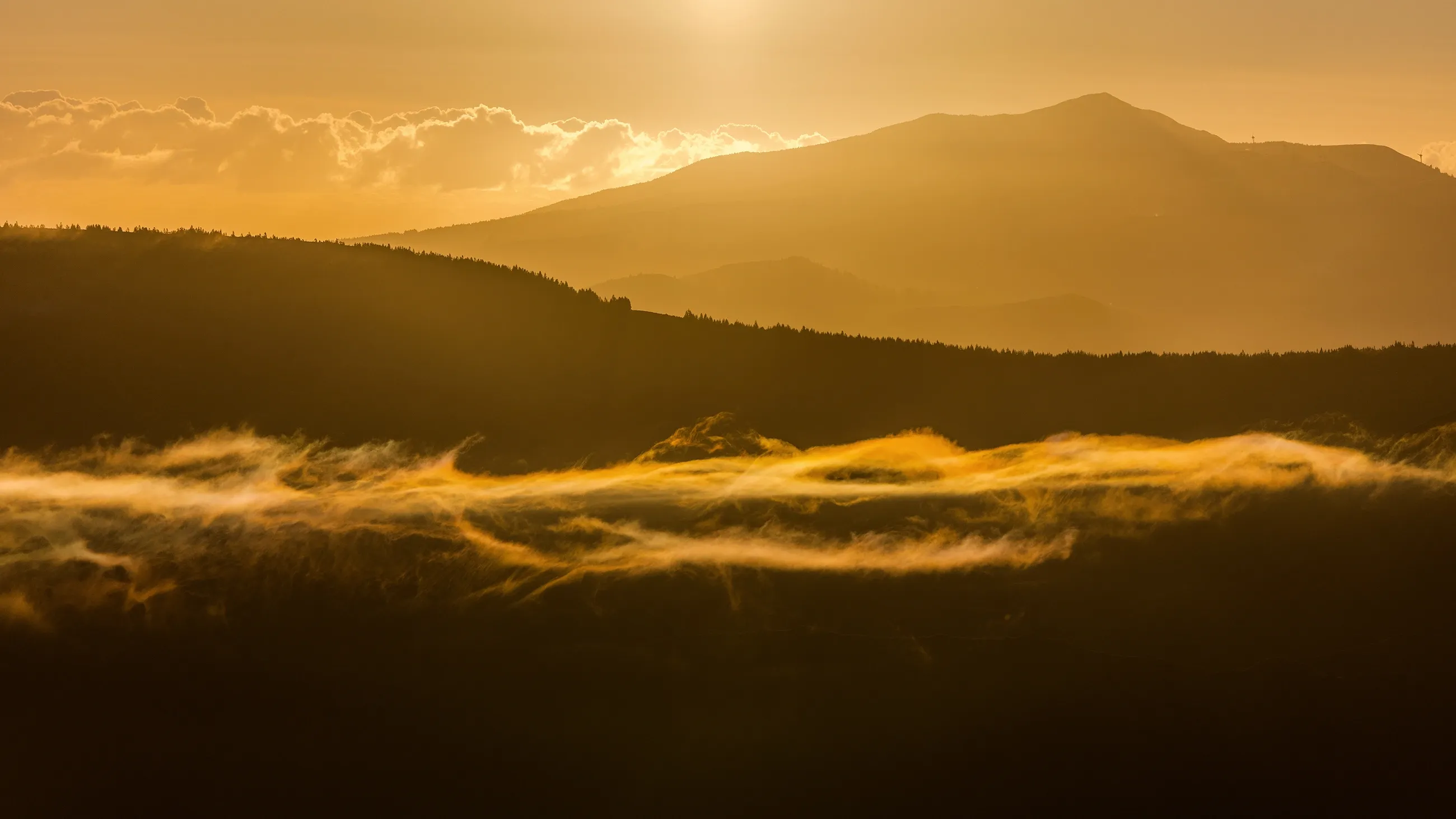 Sunrise Light Leaks