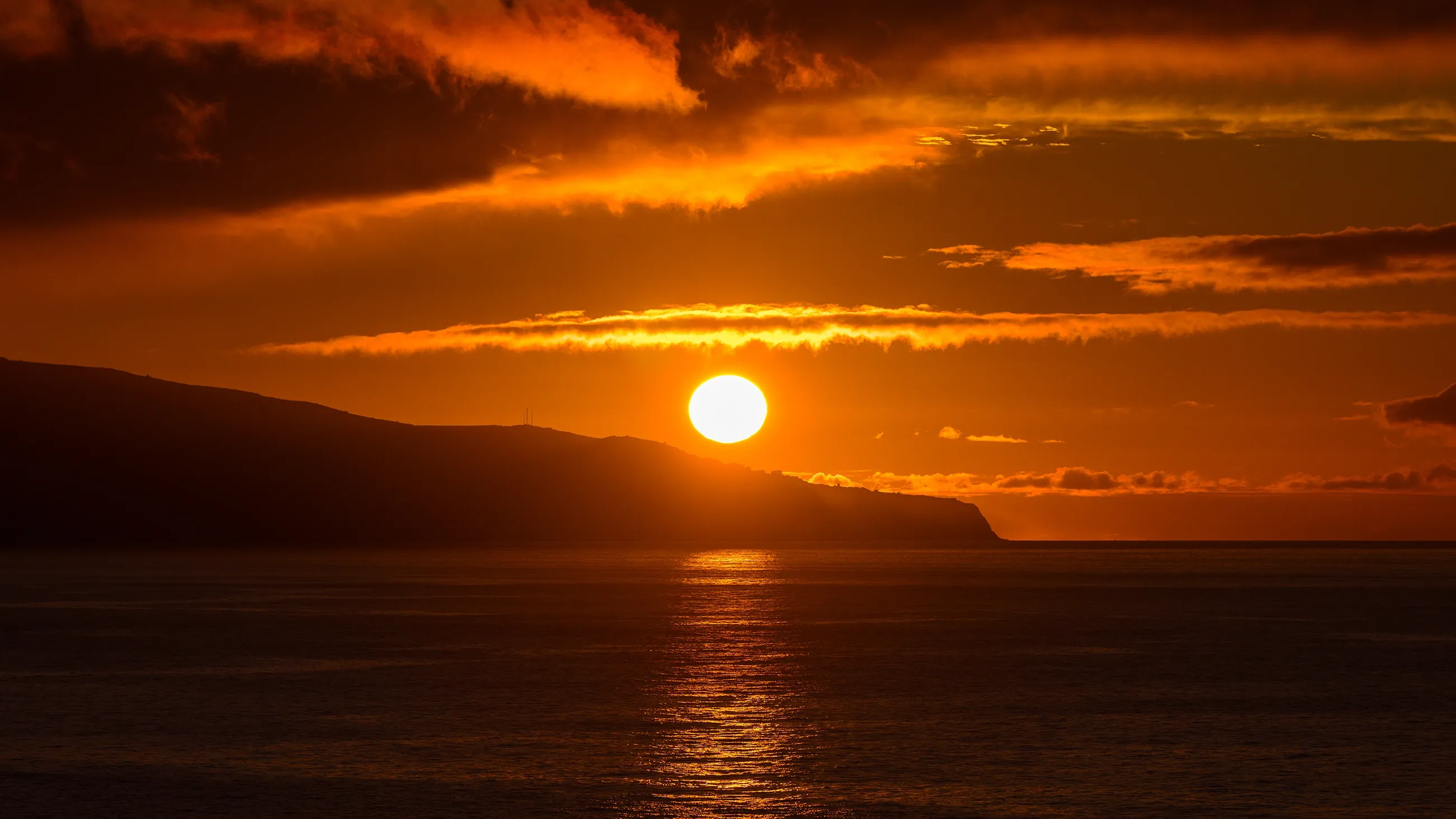 Crocodile Sunset