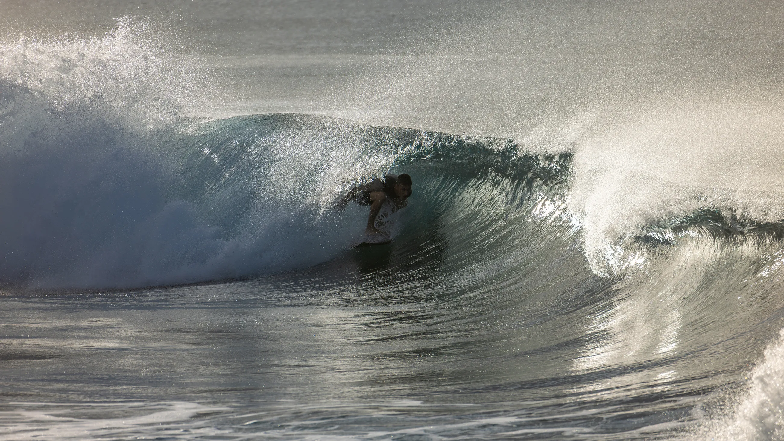 Surf's Up