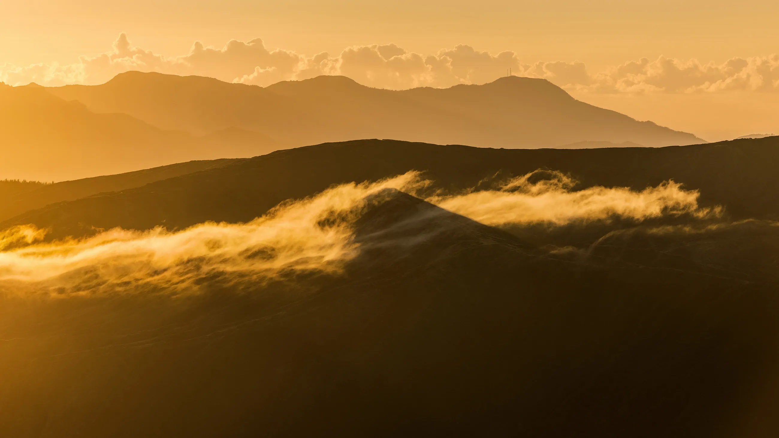 Sunrise Light Leaks