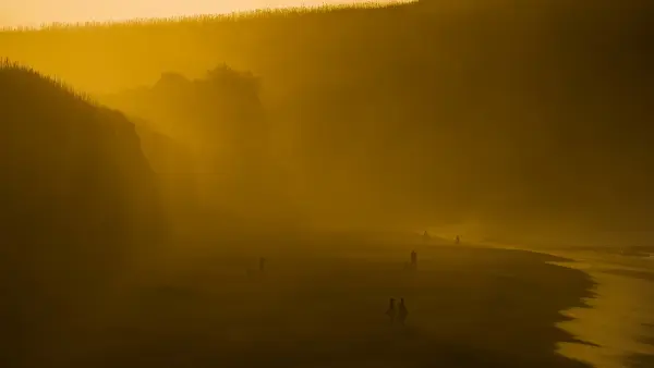 Light and Shadows