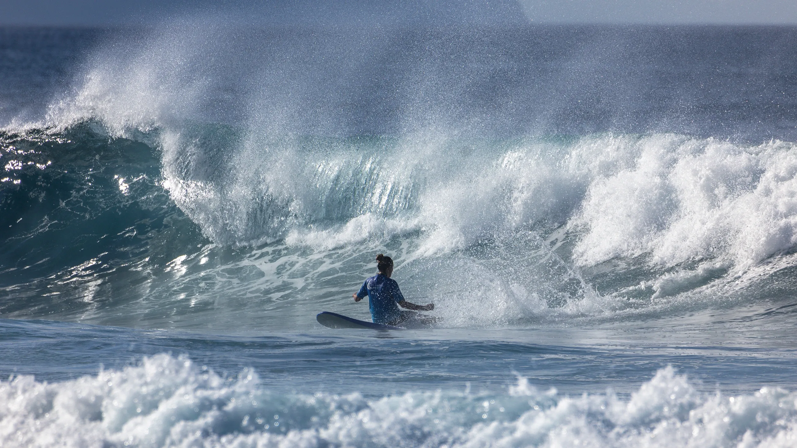 Surf's Up