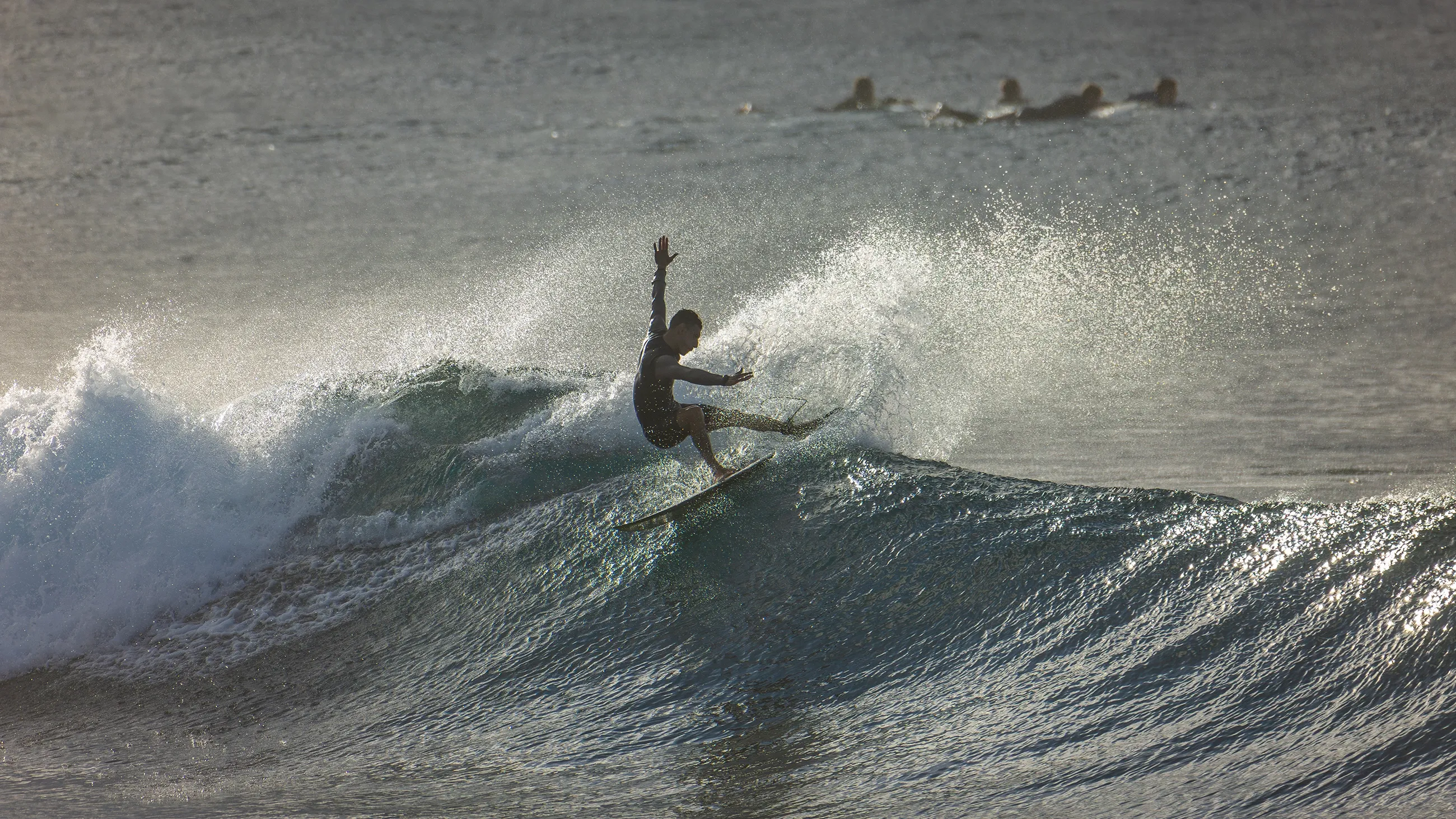 Surf's Up