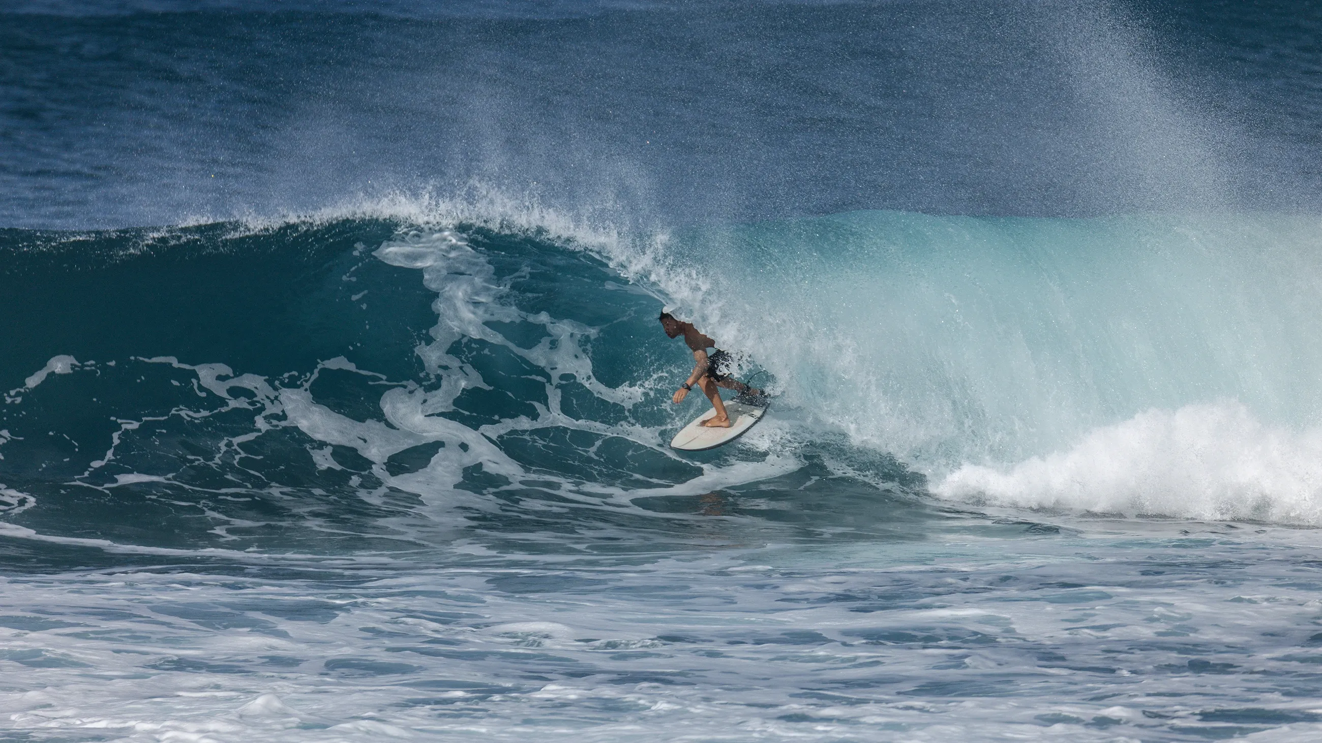 Surf's Up