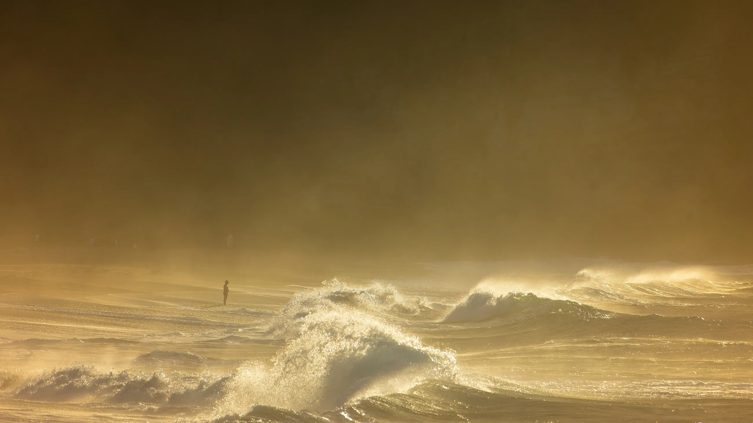 Surf's Up