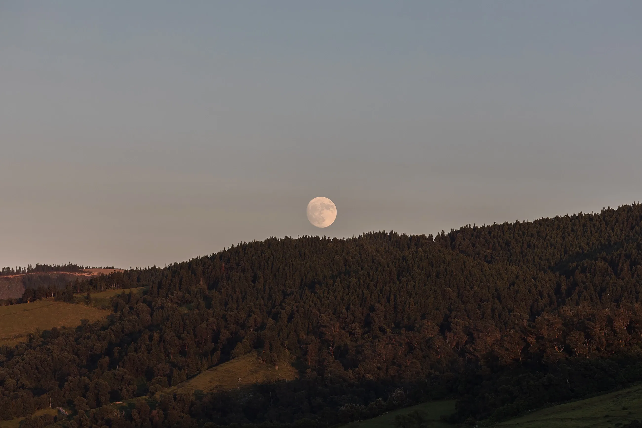 Moonrise