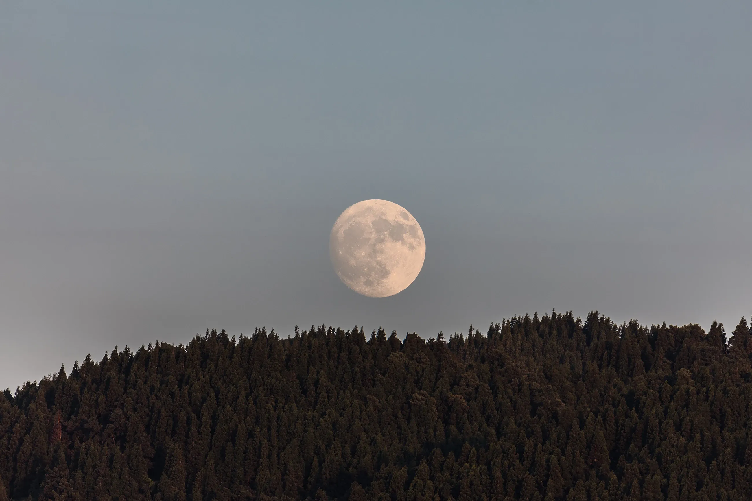 Moonrise