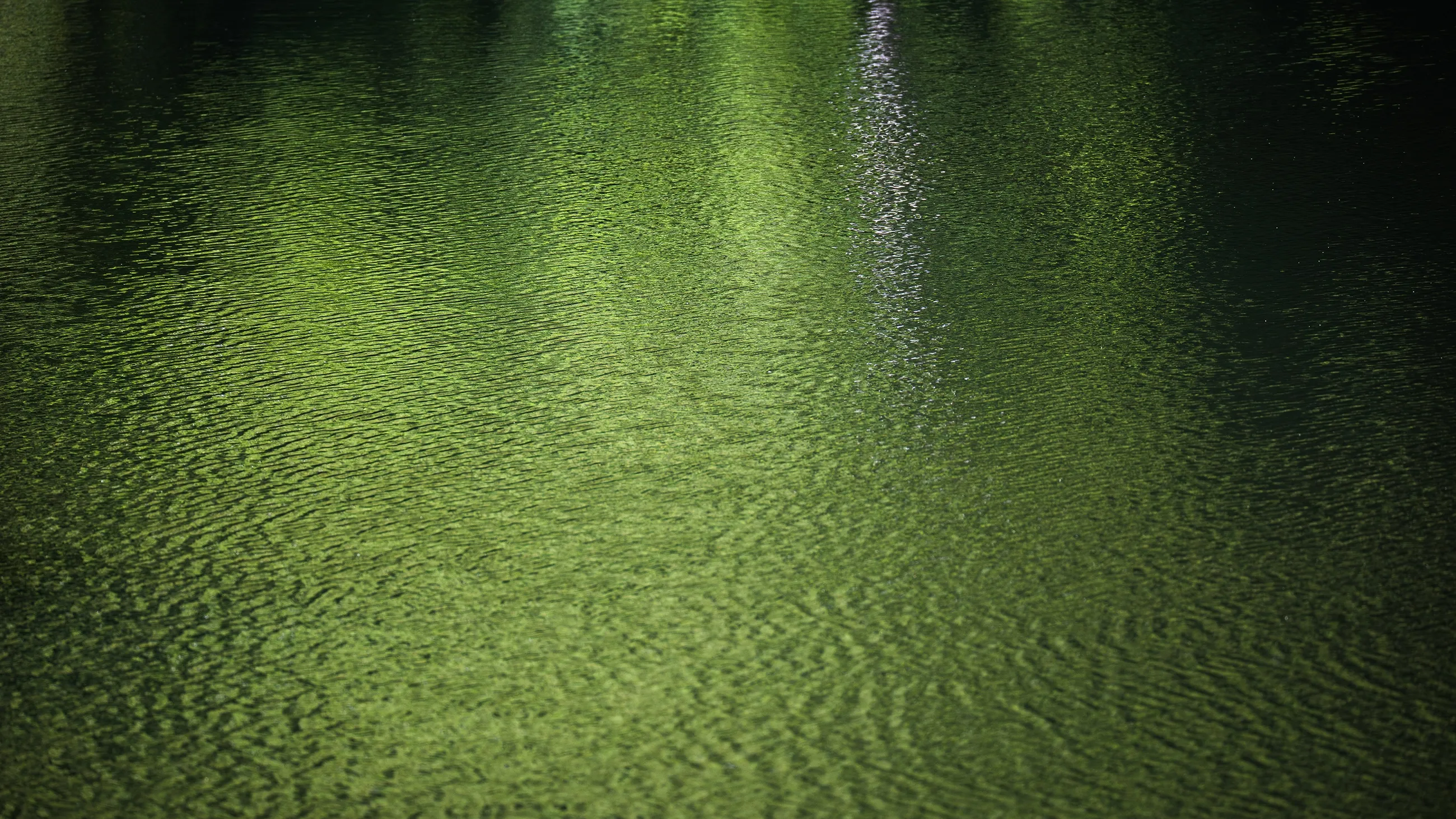 Ribeira Do Ferreiro, Patterns not the Landscape