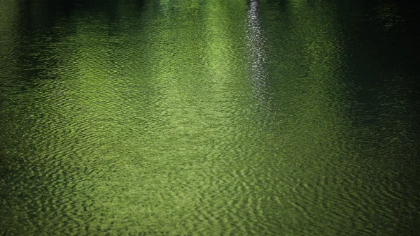 Ribeira Do Ferreiro, Patterns not the Landscape