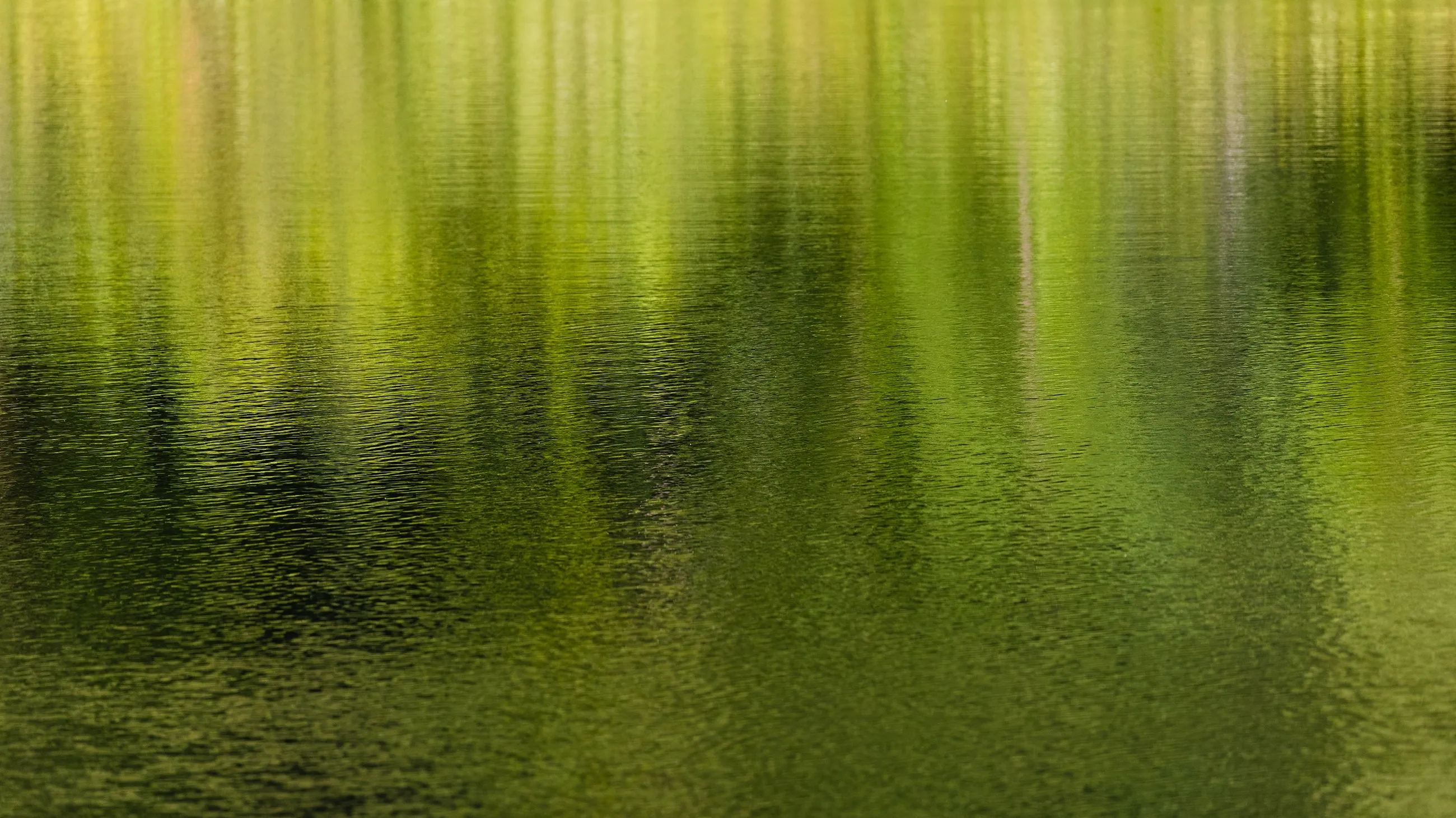 Ribeira Do Ferreiro, Patterns not the Landscape