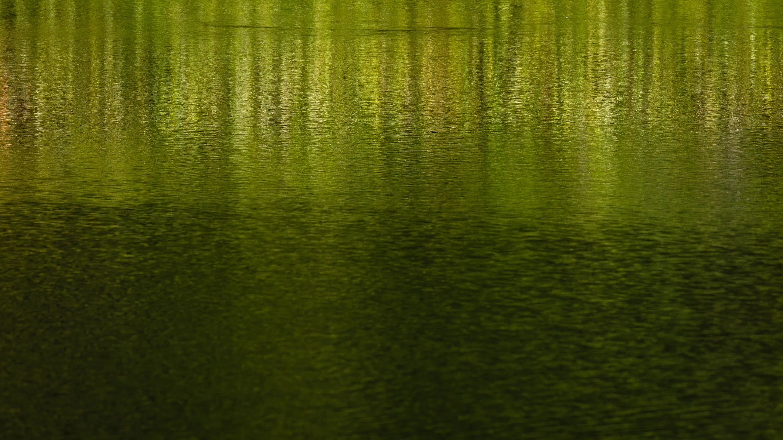 Ribeira Do Ferreiro, Patterns not the Landscape