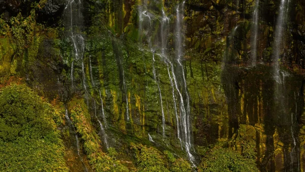 Flores’ rain-soaked greens