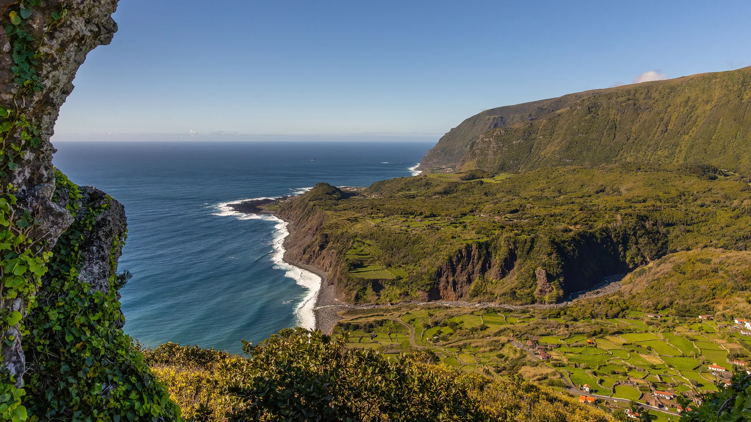 Fajâ Grande, Flores