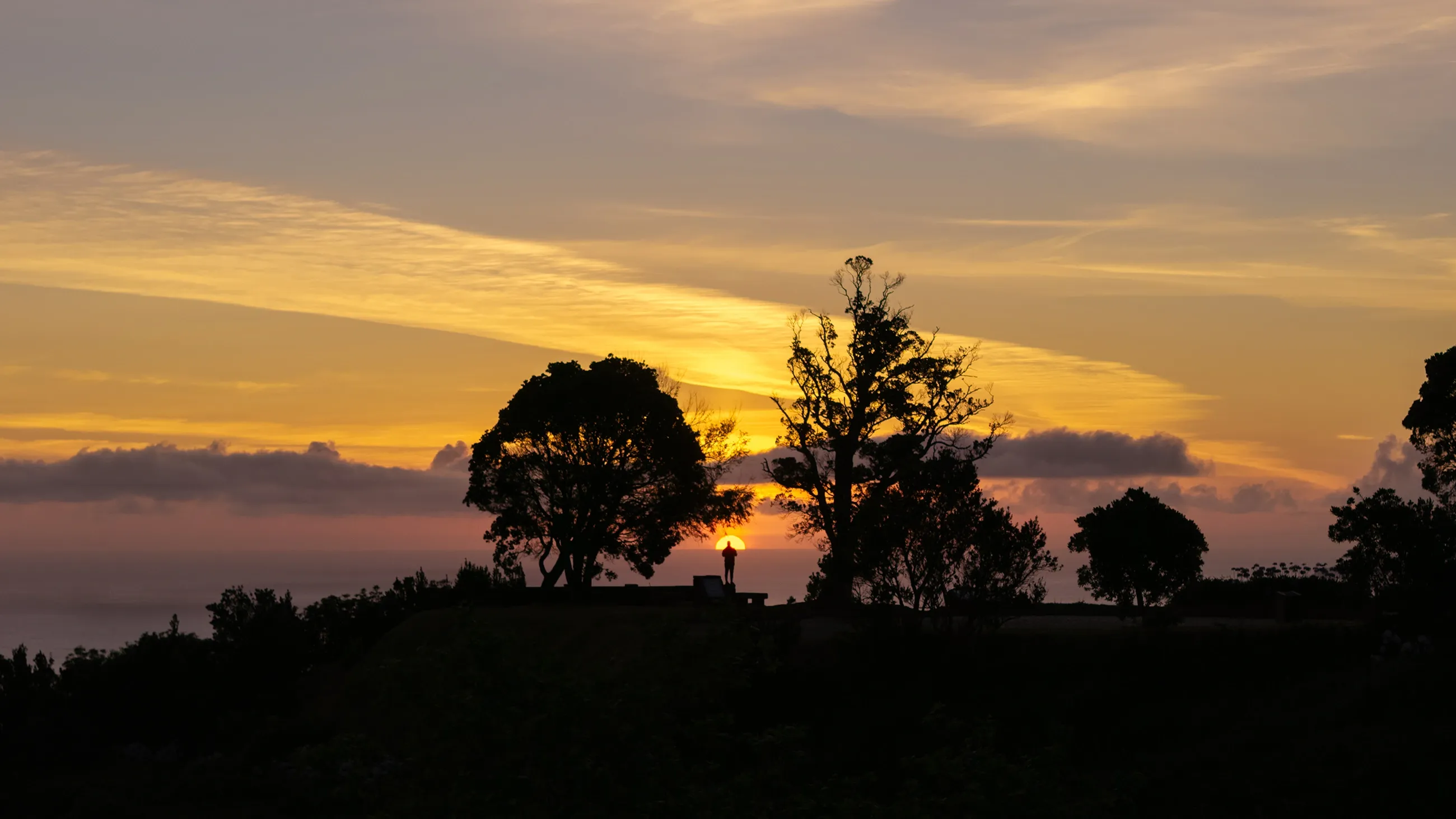 More sunrises like this.