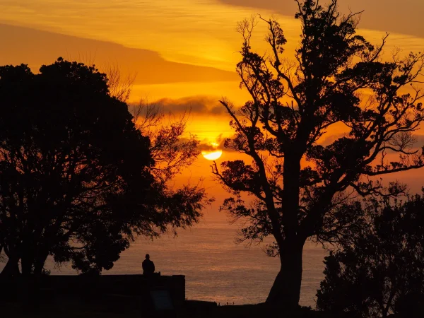 More sunrises like this.