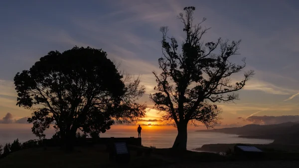 More sunrises like this.