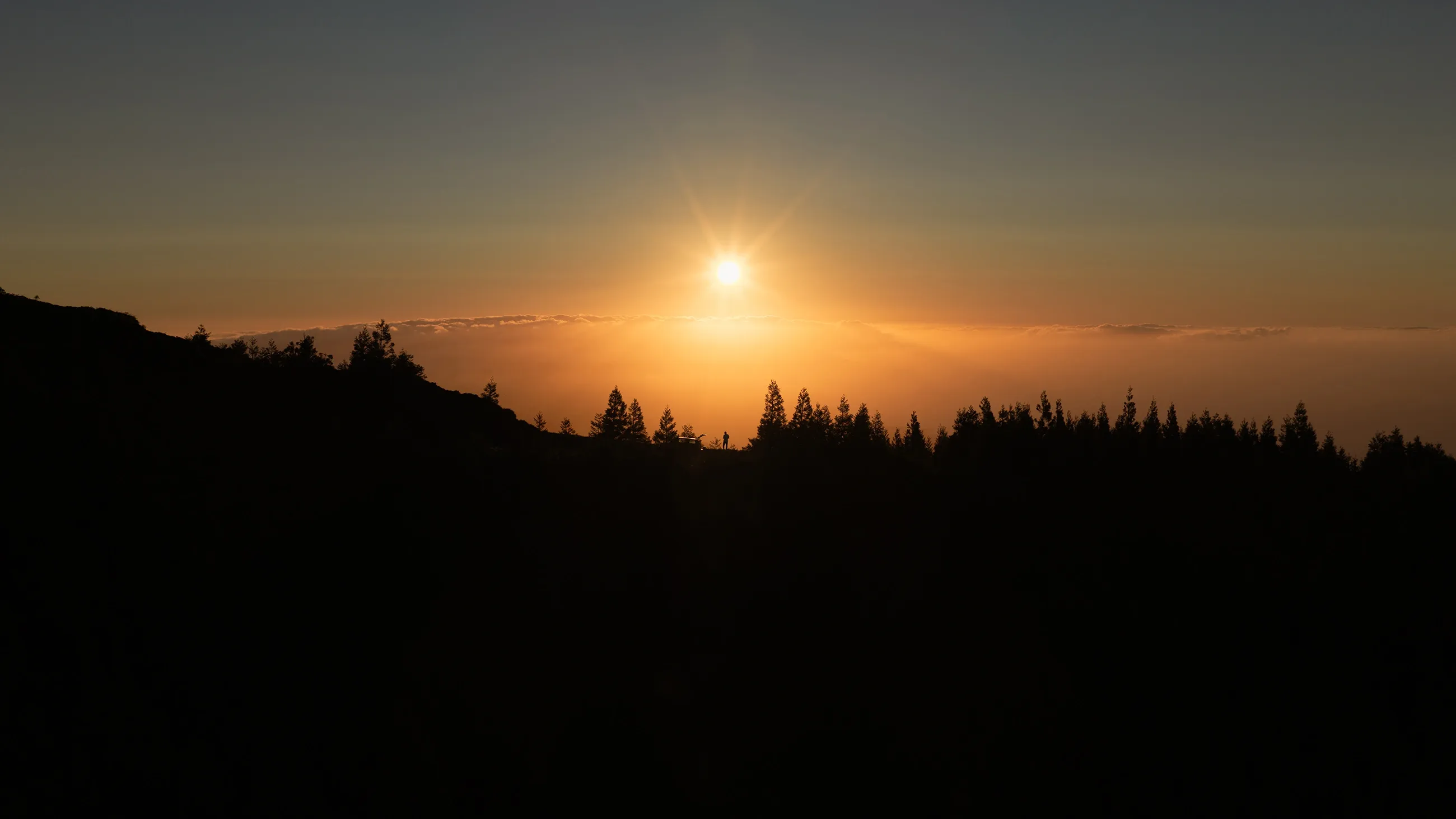 Sol