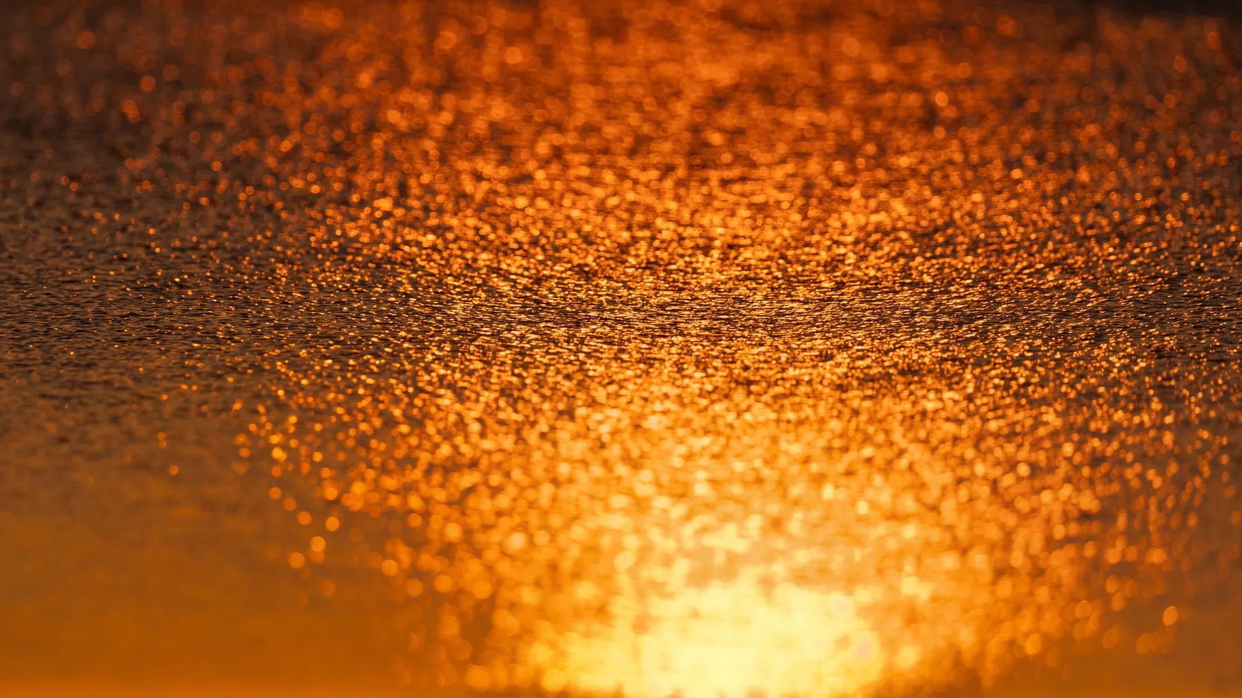 Went for the sunset, took some random shots. July