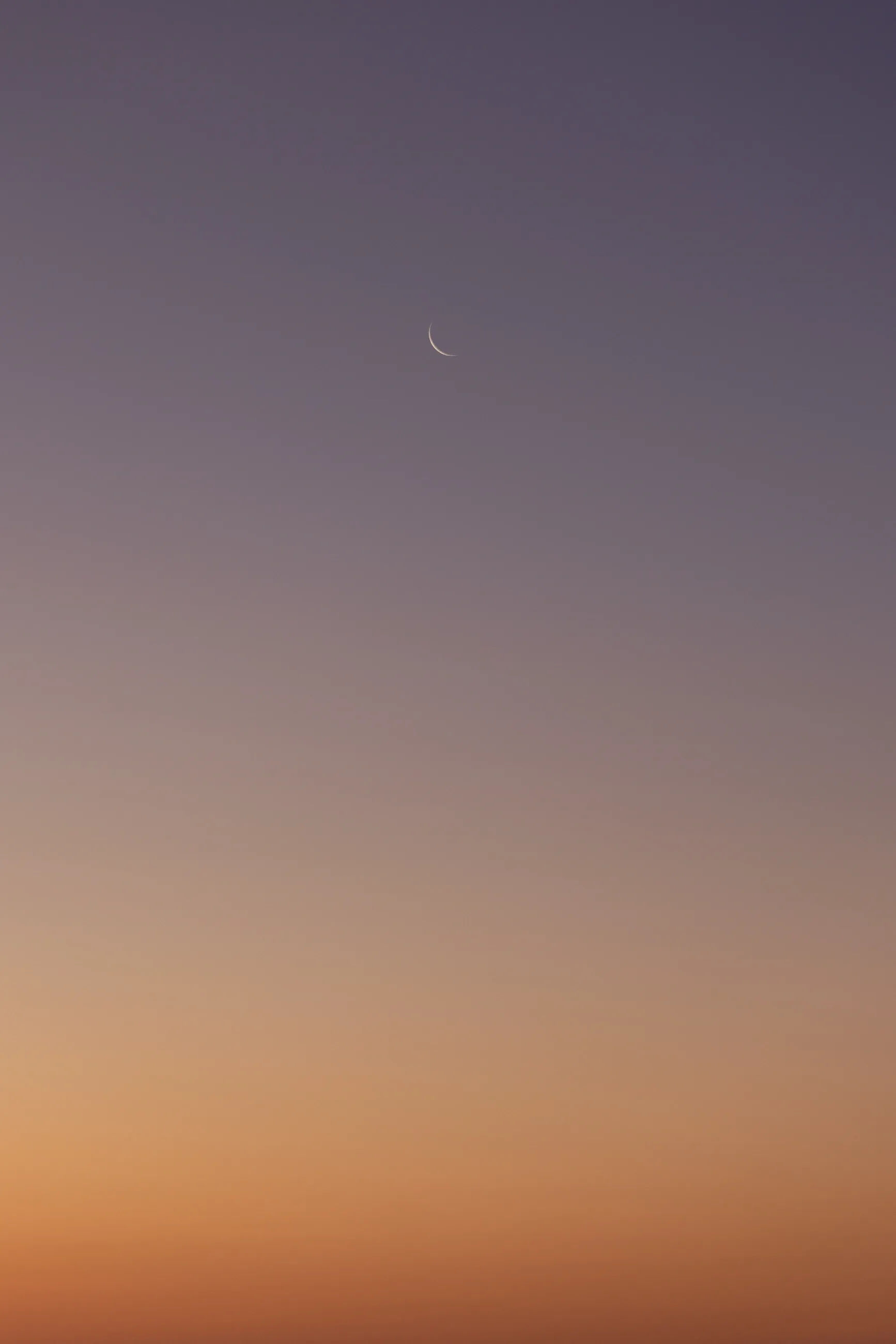 Pure. Minimal. Raw