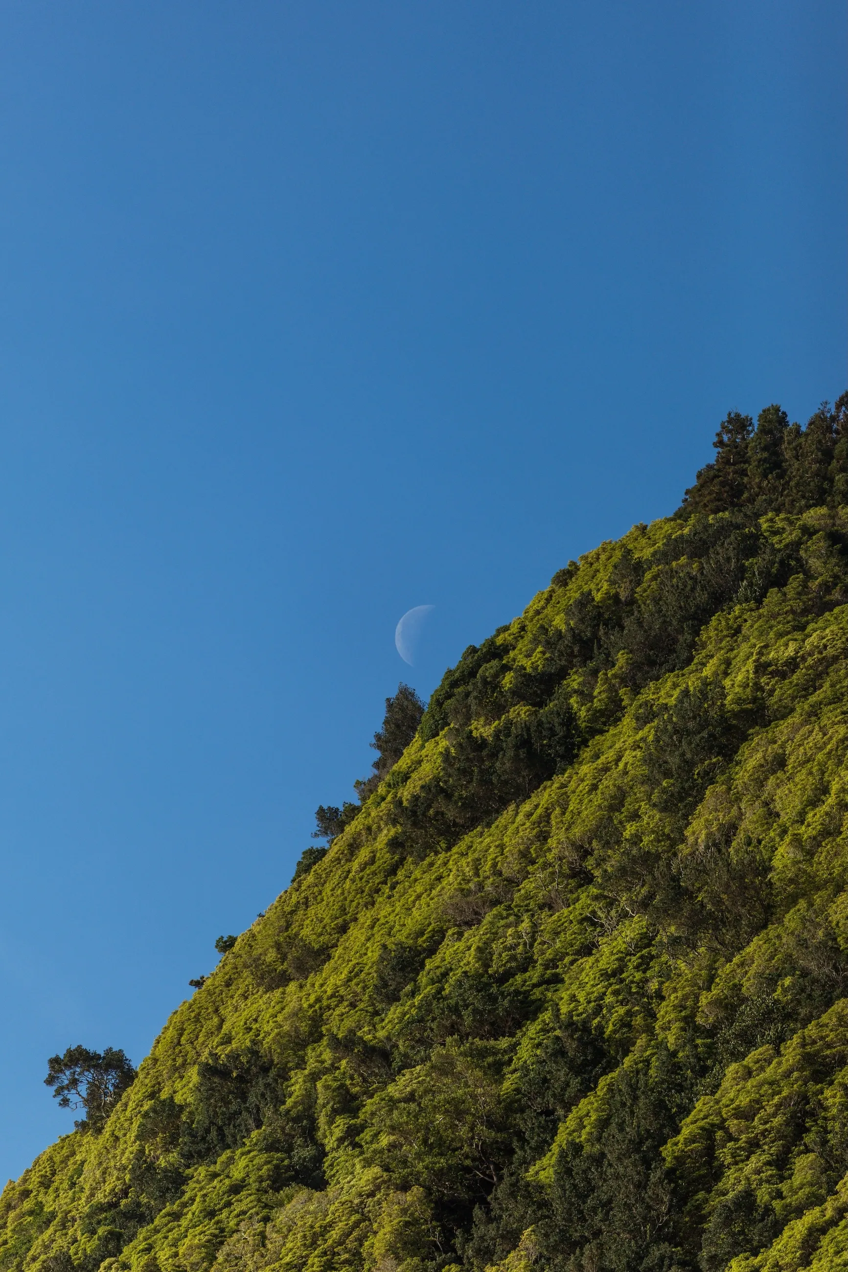 Post Sunrise Moon