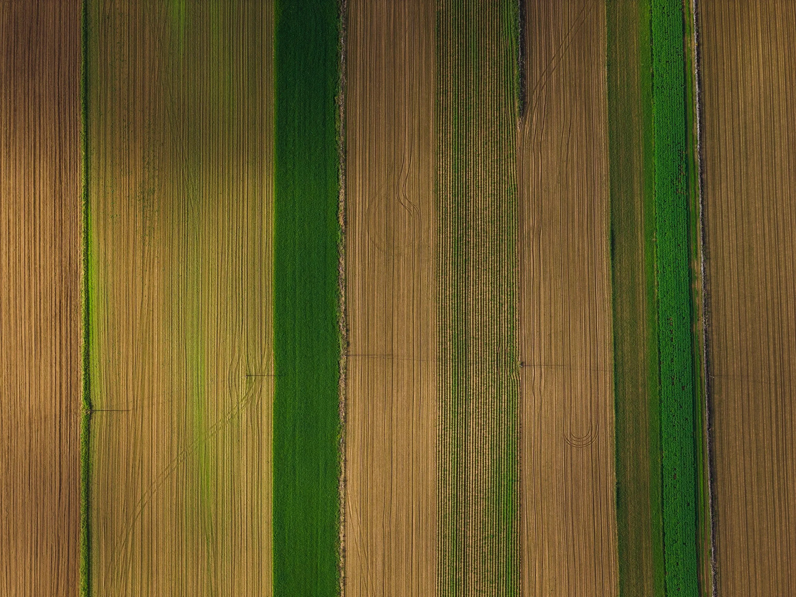 Farming Patterns