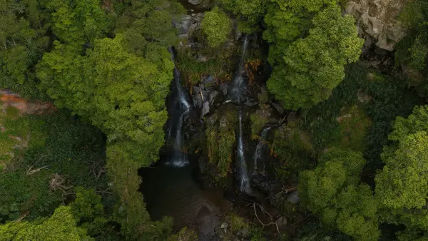 Secret Island Gem